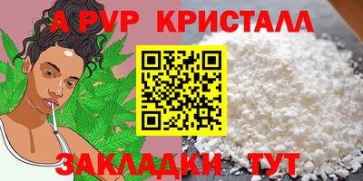 спиды Донской